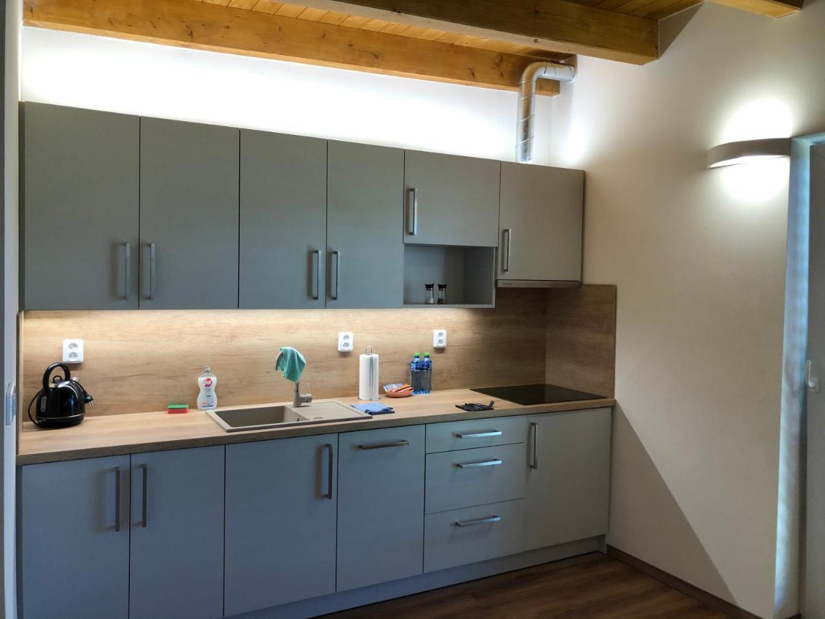 Anico Apartmany Dolni Benesov Extérieur photo