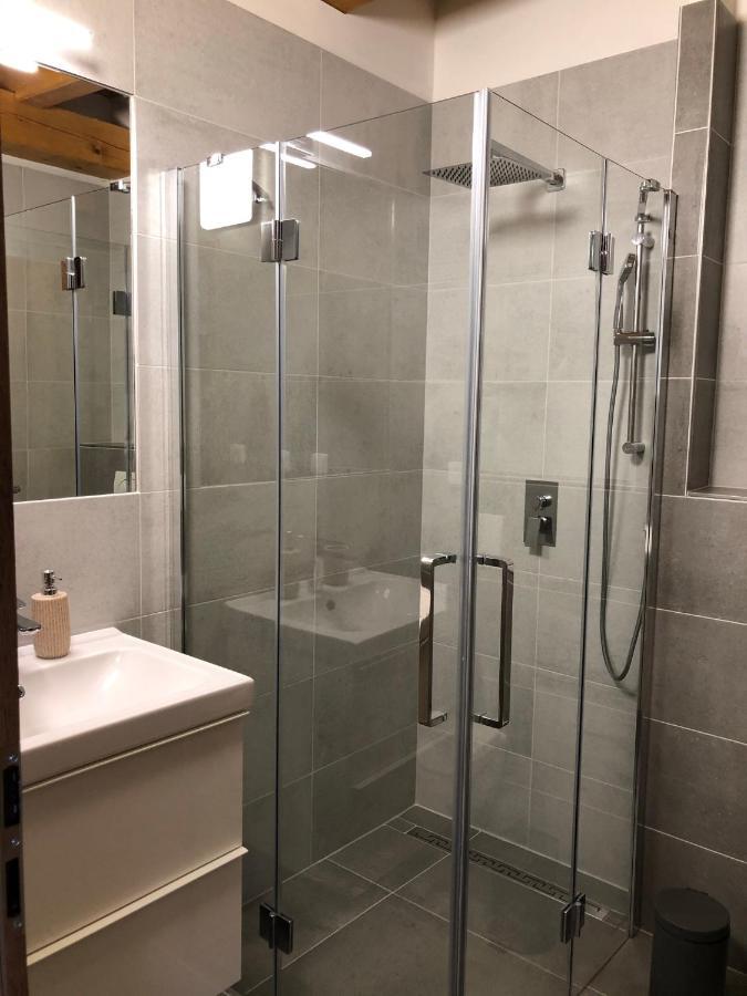 Anico Apartmany Dolni Benesov Extérieur photo