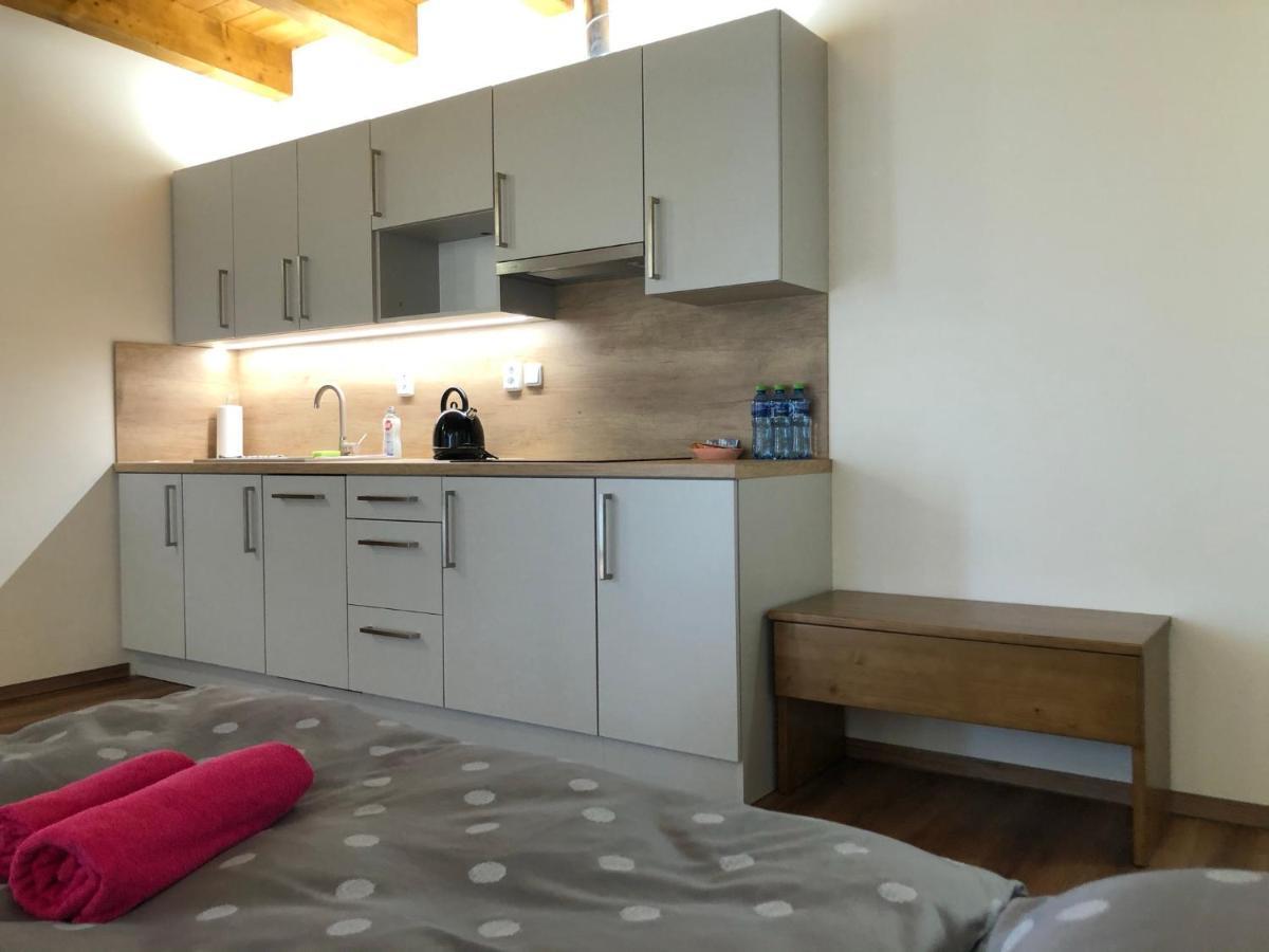 Anico Apartmany Dolni Benesov Extérieur photo
