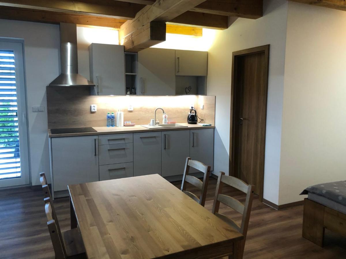 Anico Apartmany Dolni Benesov Extérieur photo