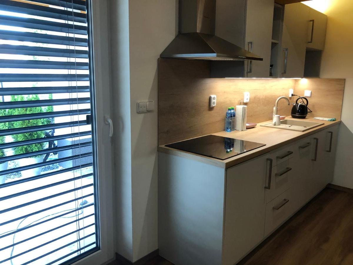 Anico Apartmany Dolni Benesov Extérieur photo