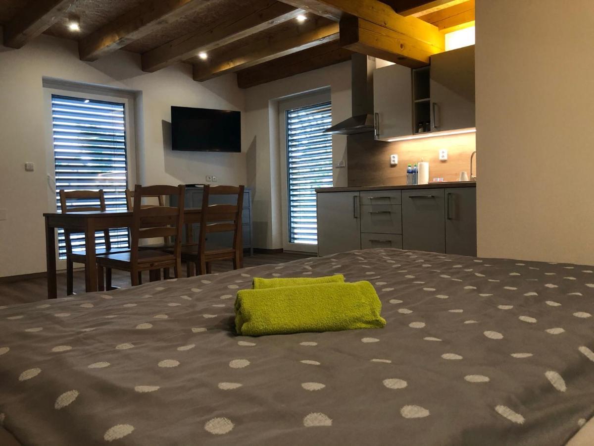 Anico Apartmany Dolni Benesov Extérieur photo