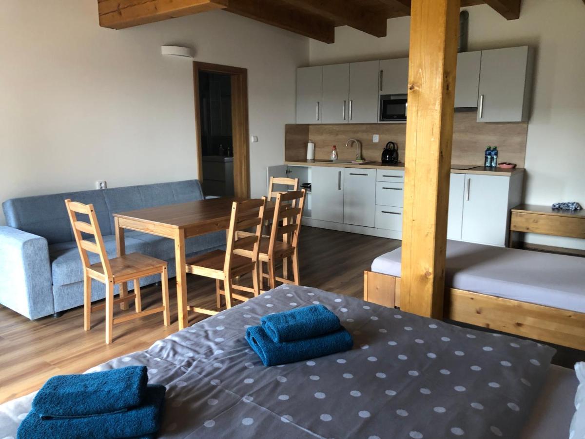 Anico Apartmany Dolni Benesov Extérieur photo