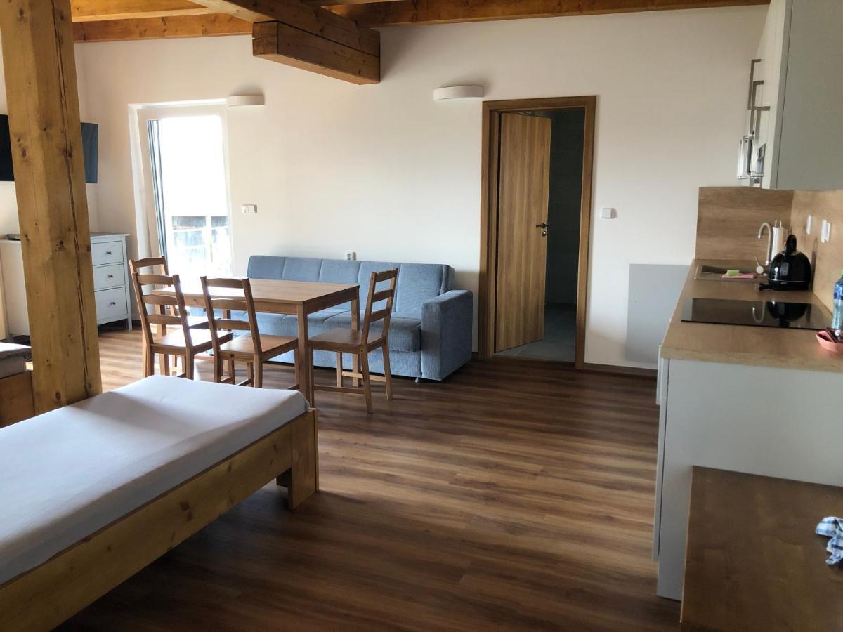 Anico Apartmany Dolni Benesov Extérieur photo