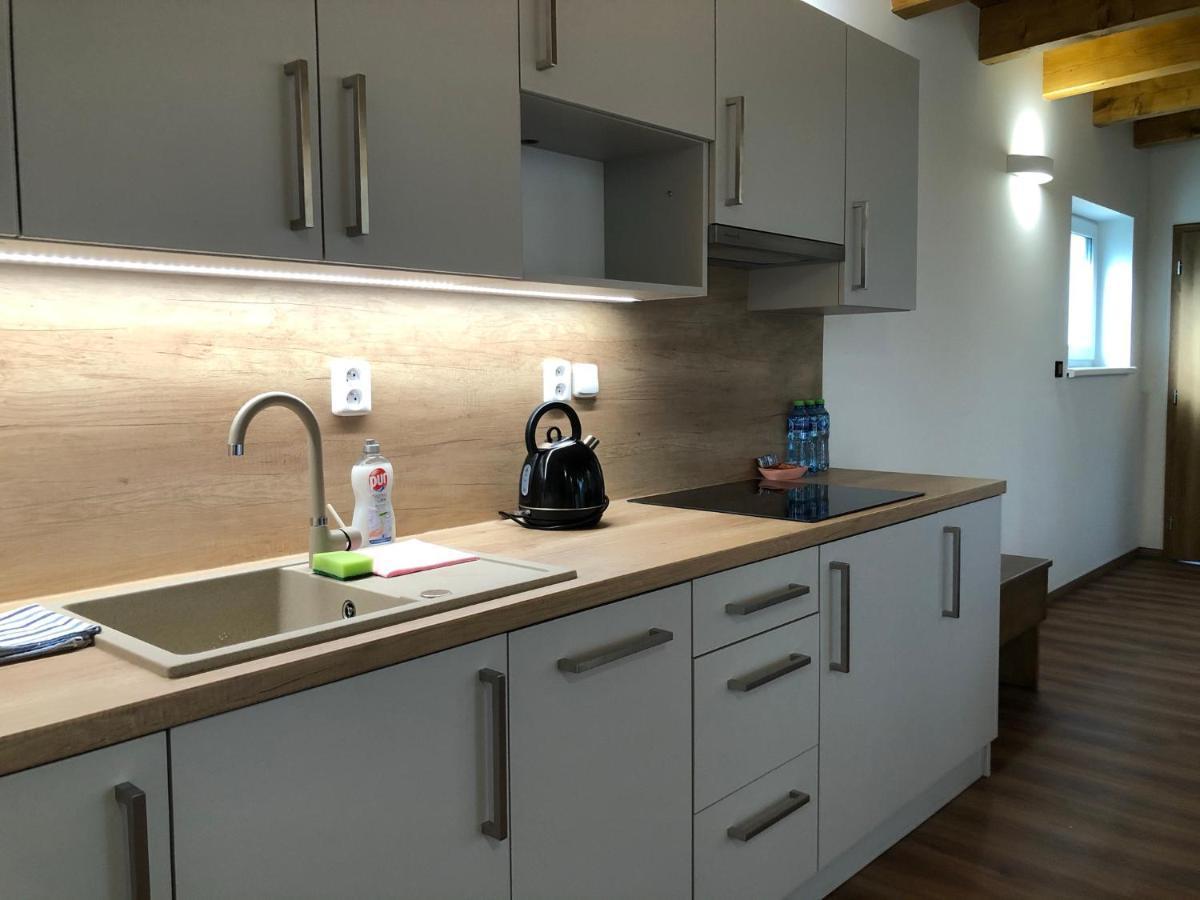 Anico Apartmany Dolni Benesov Extérieur photo