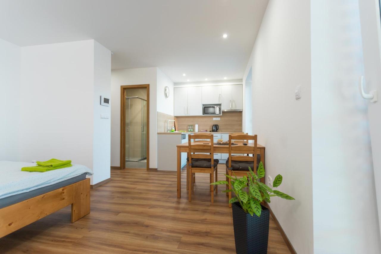 Anico Apartmany Dolni Benesov Extérieur photo