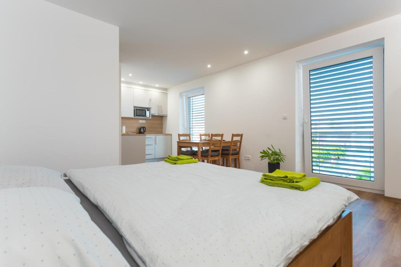 Anico Apartmany Dolni Benesov Extérieur photo